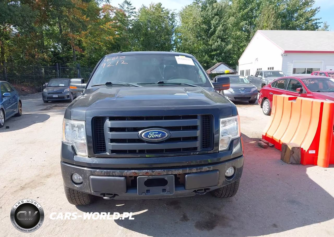 2010 Ford F-150 Fx4-Harley-Davidson-King Ranch-Lariat-Platinum-Xl-Xlt VIN:1FTFW1EV1AKE81241 - 12