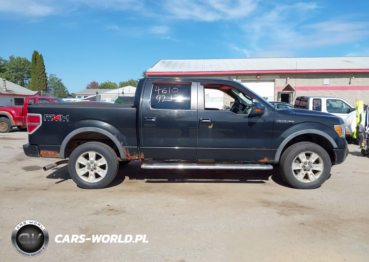 2010 Ford F-150 Fx4-Harley-Davidson-King Ranch-Lariat-Platinum-Xl-Xlt VIN:1FTFW1EV1AKE81241 - 13