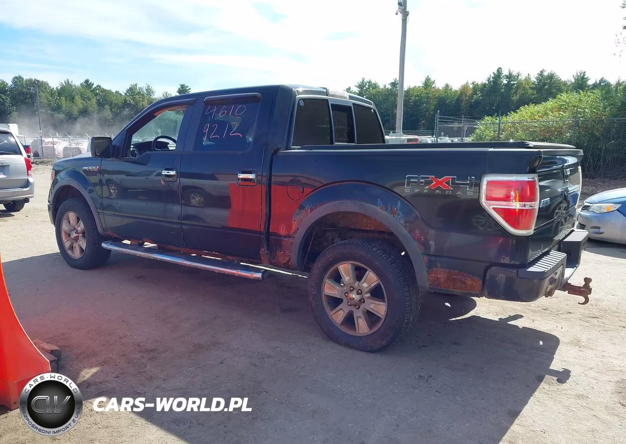 2010 Ford F-150 Fx4-Harley-Davidson-King Ranch-Lariat-Platinum-Xl-Xlt VIN:1FTFW1EV1AKE81241 - 14