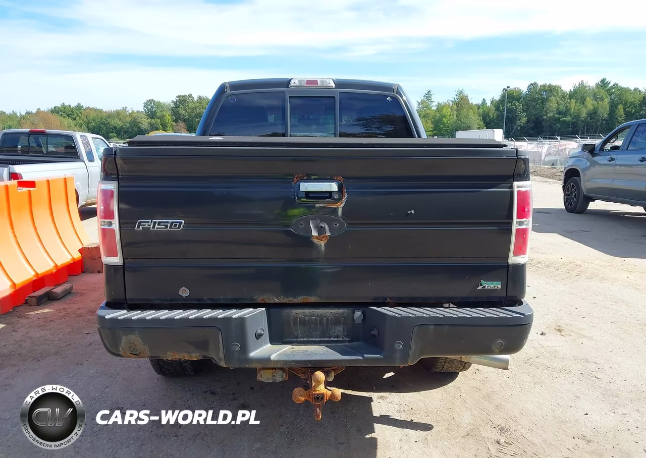 2010 Ford F-150 Fx4-Harley-Davidson-King Ranch-Lariat-Platinum-Xl-Xlt VIN:1FTFW1EV1AKE81241 - 16