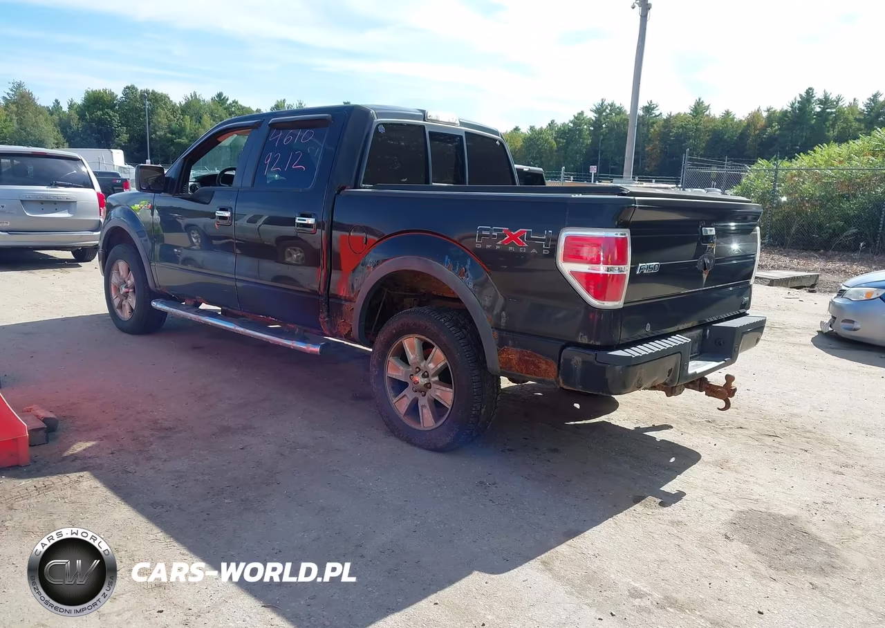 2010 Ford F-150 Fx4-Harley-Davidson-King Ranch-Lariat-Platinum-Xl-Xlt VIN:1FTFW1EV1AKE81241 - 3