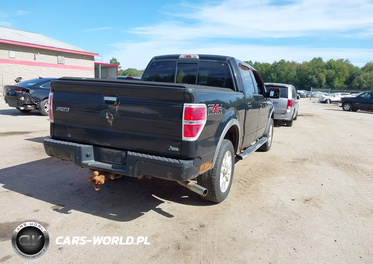 2010 Ford F-150 Fx4-Harley-Davidson-King Ranch-Lariat-Platinum-Xl-Xlt VIN:1FTFW1EV1AKE81241 - 4