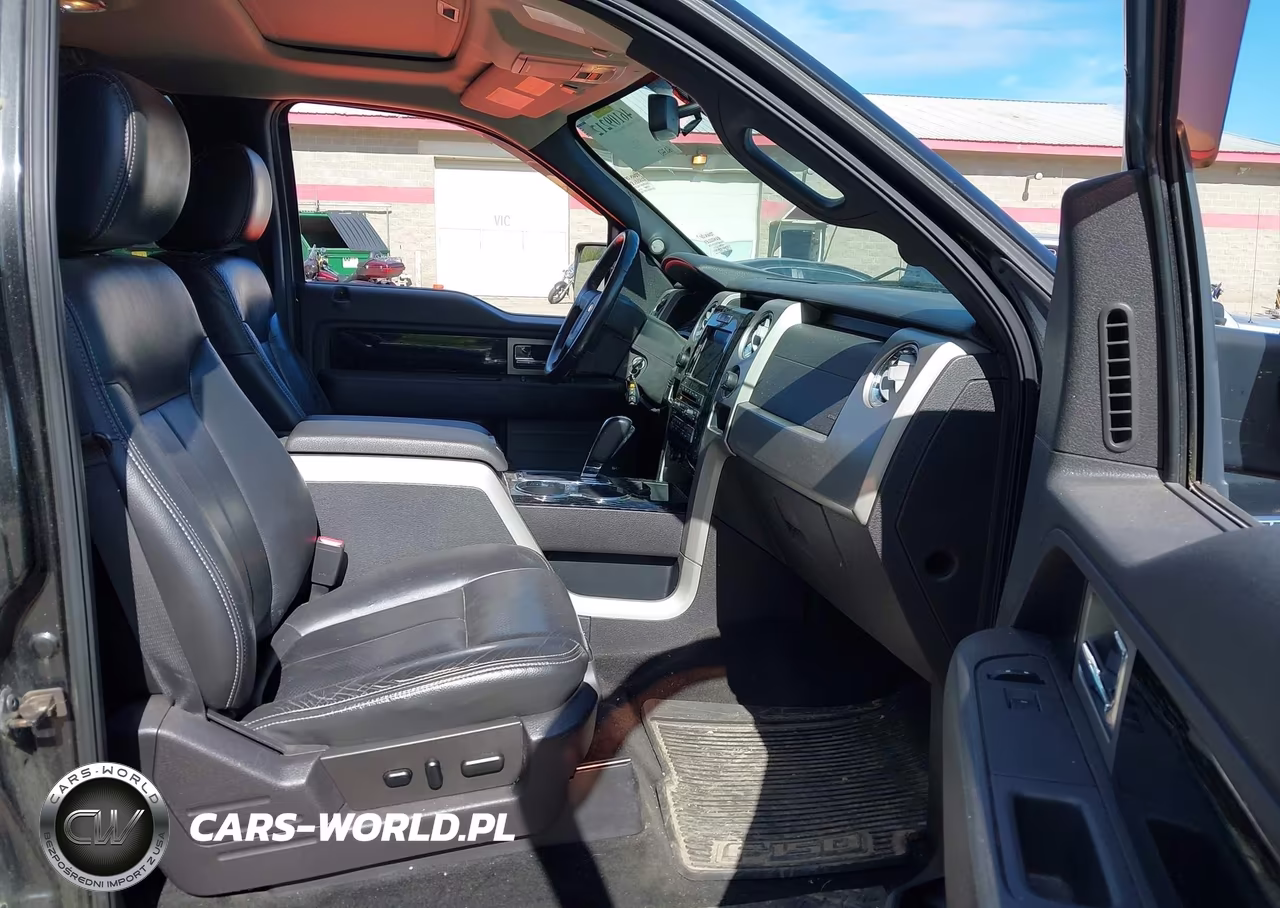2010 Ford F-150 Fx4-Harley-Davidson-King Ranch-Lariat-Platinum-Xl-Xlt VIN:1FTFW1EV1AKE81241 - 5