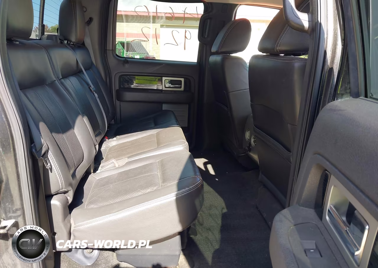 2010 Ford F-150 Fx4-Harley-Davidson-King Ranch-Lariat-Platinum-Xl-Xlt VIN:1FTFW1EV1AKE81241 - 8