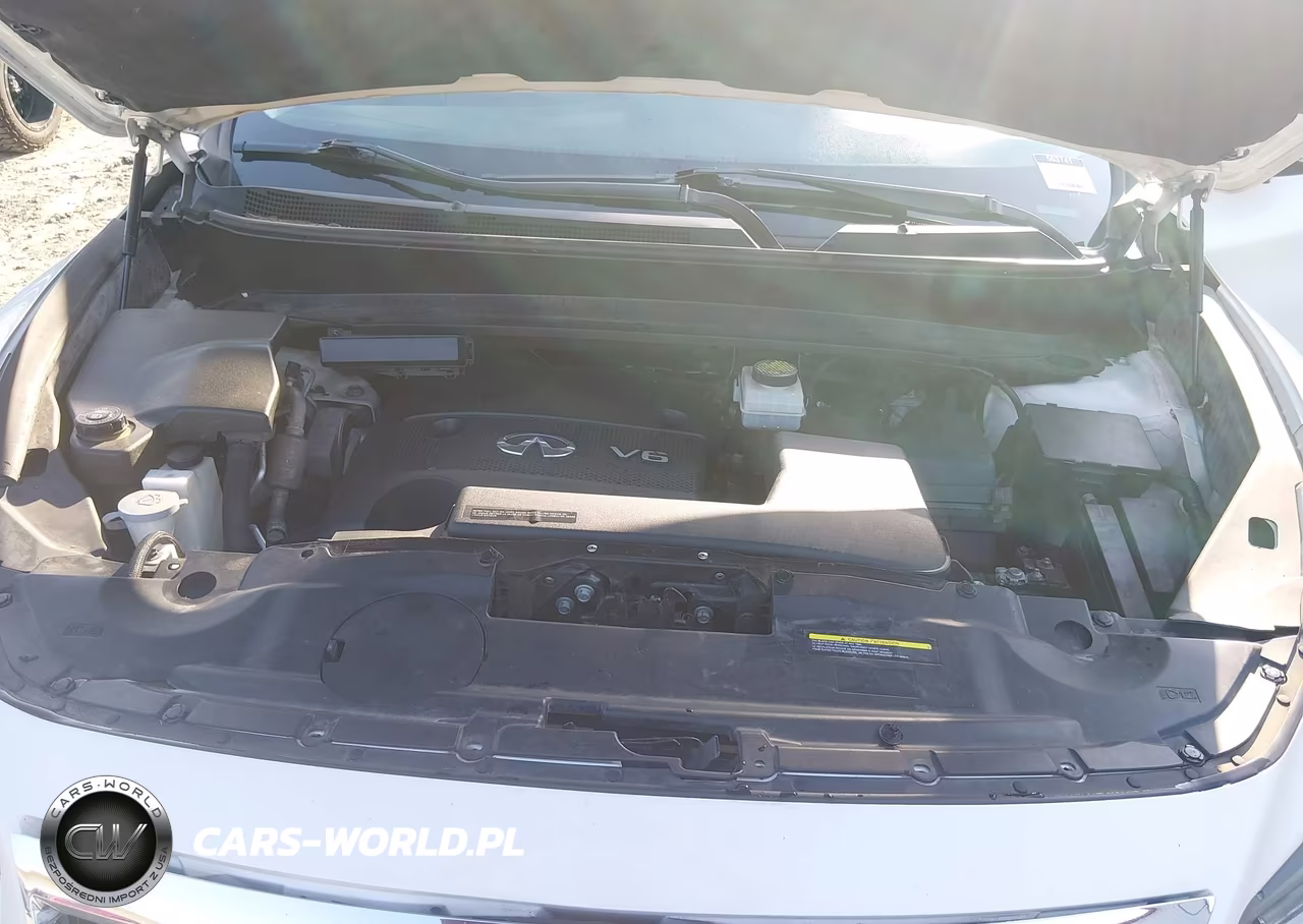 2016 Infiniti Qx60 VIN:5N1AL0MN5GC503741 - 10