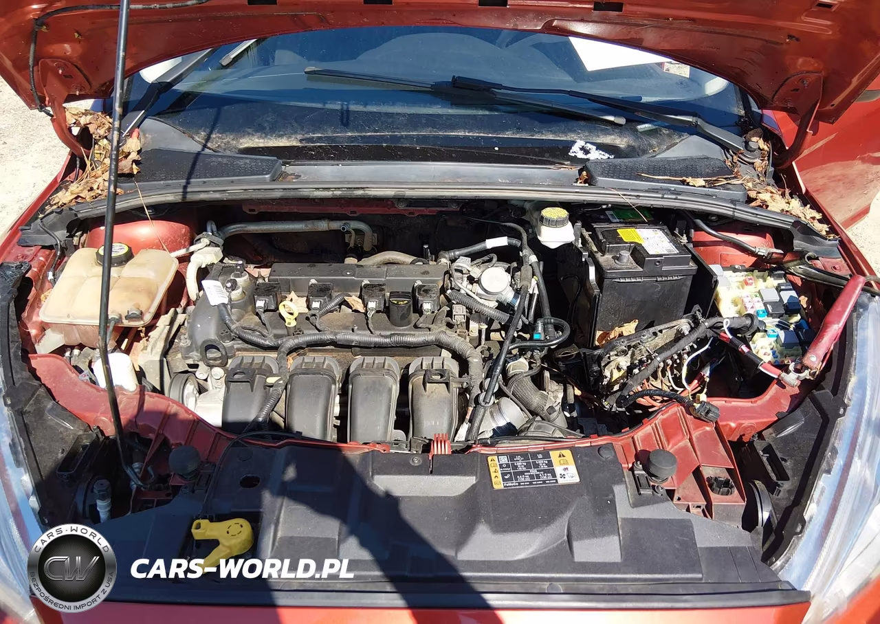 2018 Ford Focus Se VIN:1FADP3K24JL243121 - 10