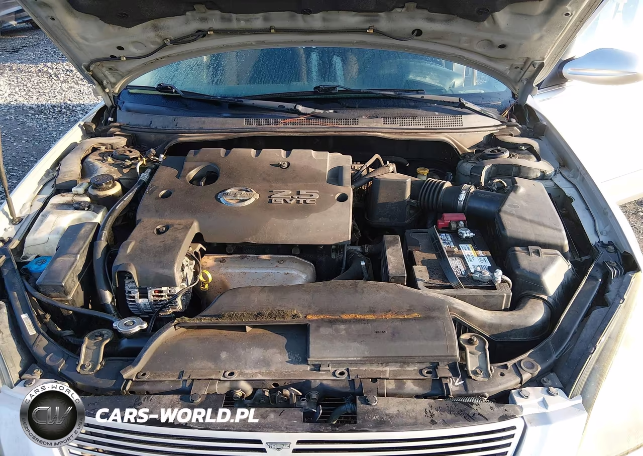 2004 Nissan Altima 2.5 S VIN:1N4AL11D54C141305 - 10