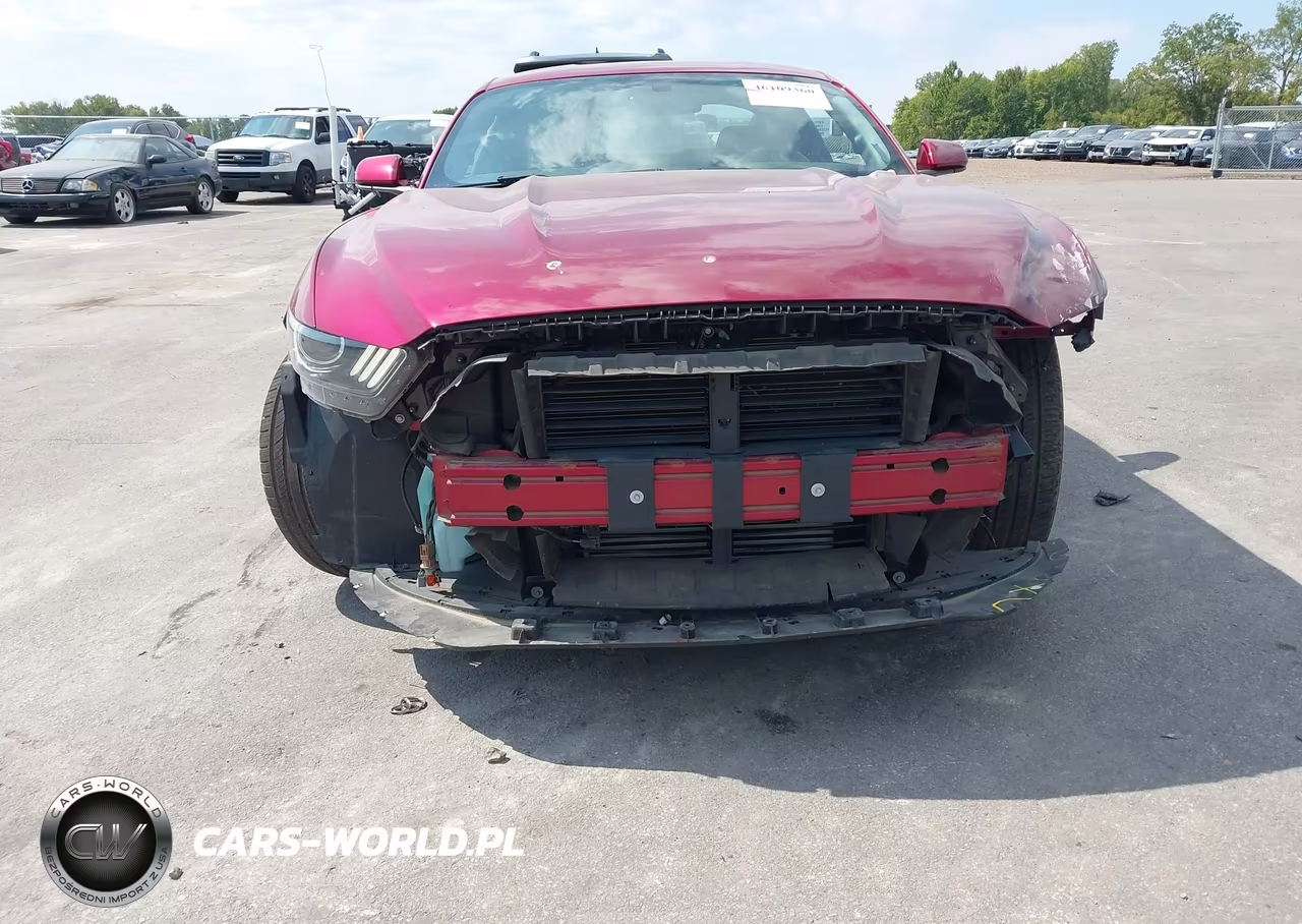 2017 Ford Mustang Ecoboost VIN:1FA6P8TH3H5332556 - 13