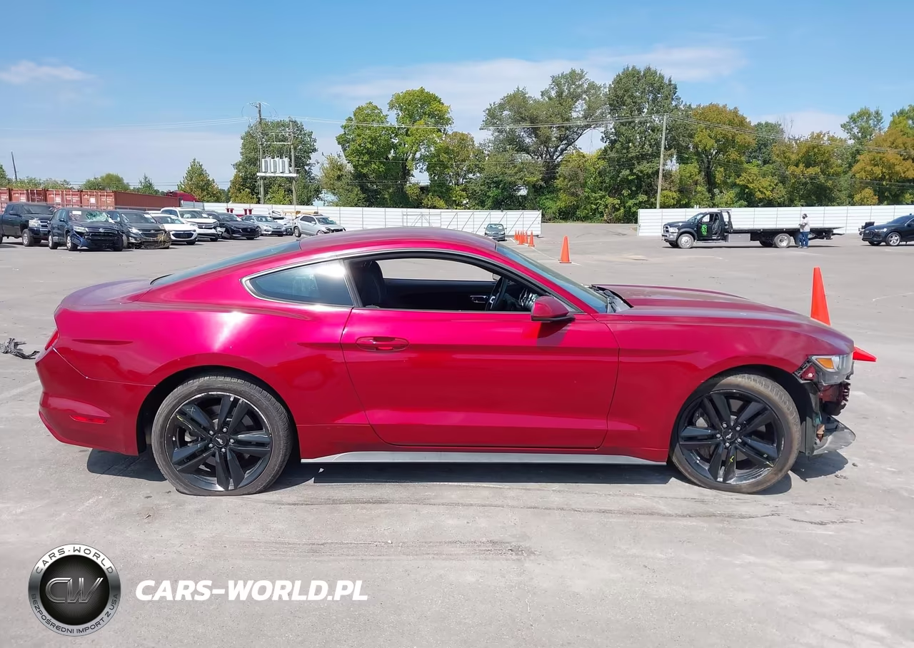 2017 Ford Mustang Ecoboost VIN:1FA6P8TH3H5332556 - 14