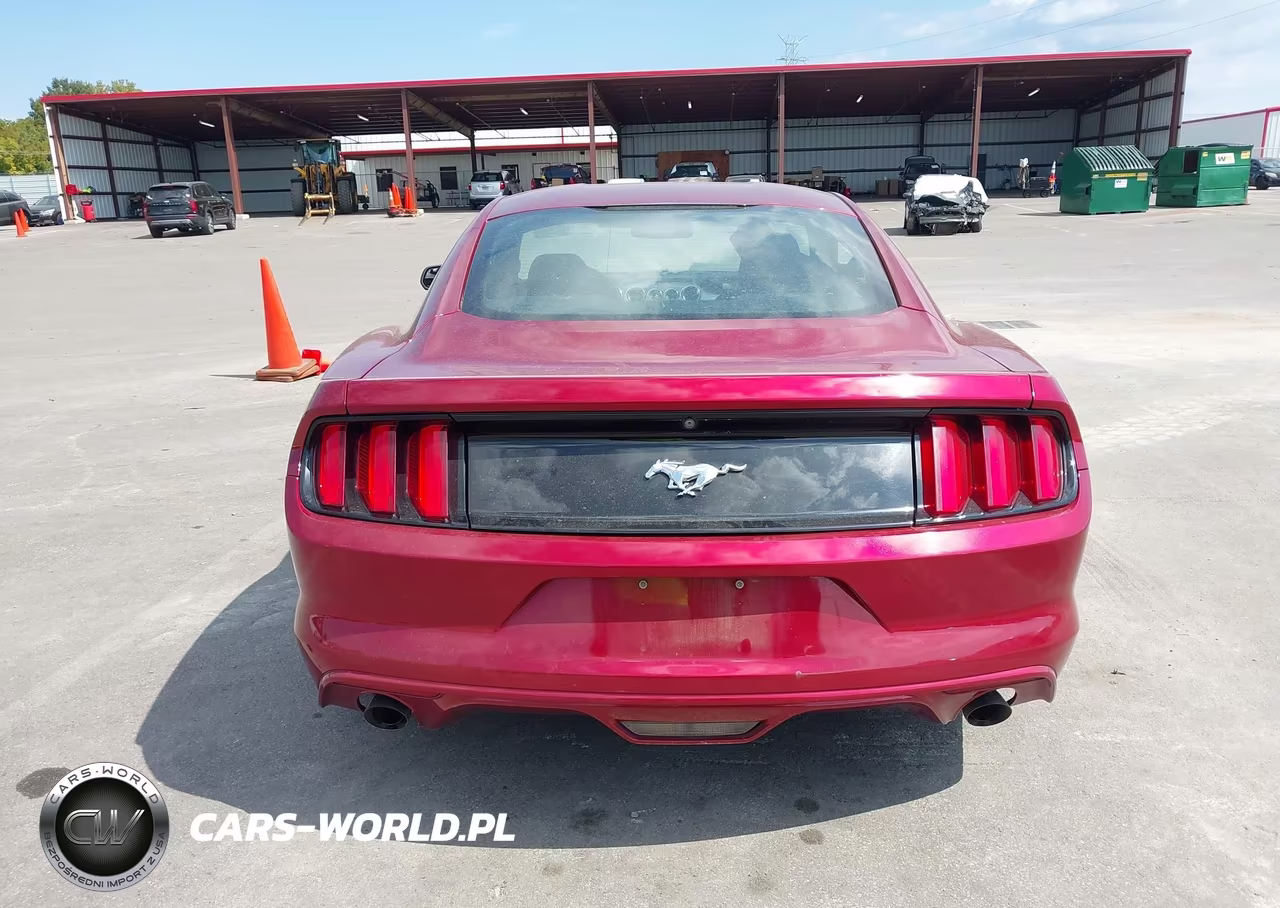 2017 Ford Mustang Ecoboost VIN:1FA6P8TH3H5332556 - 17