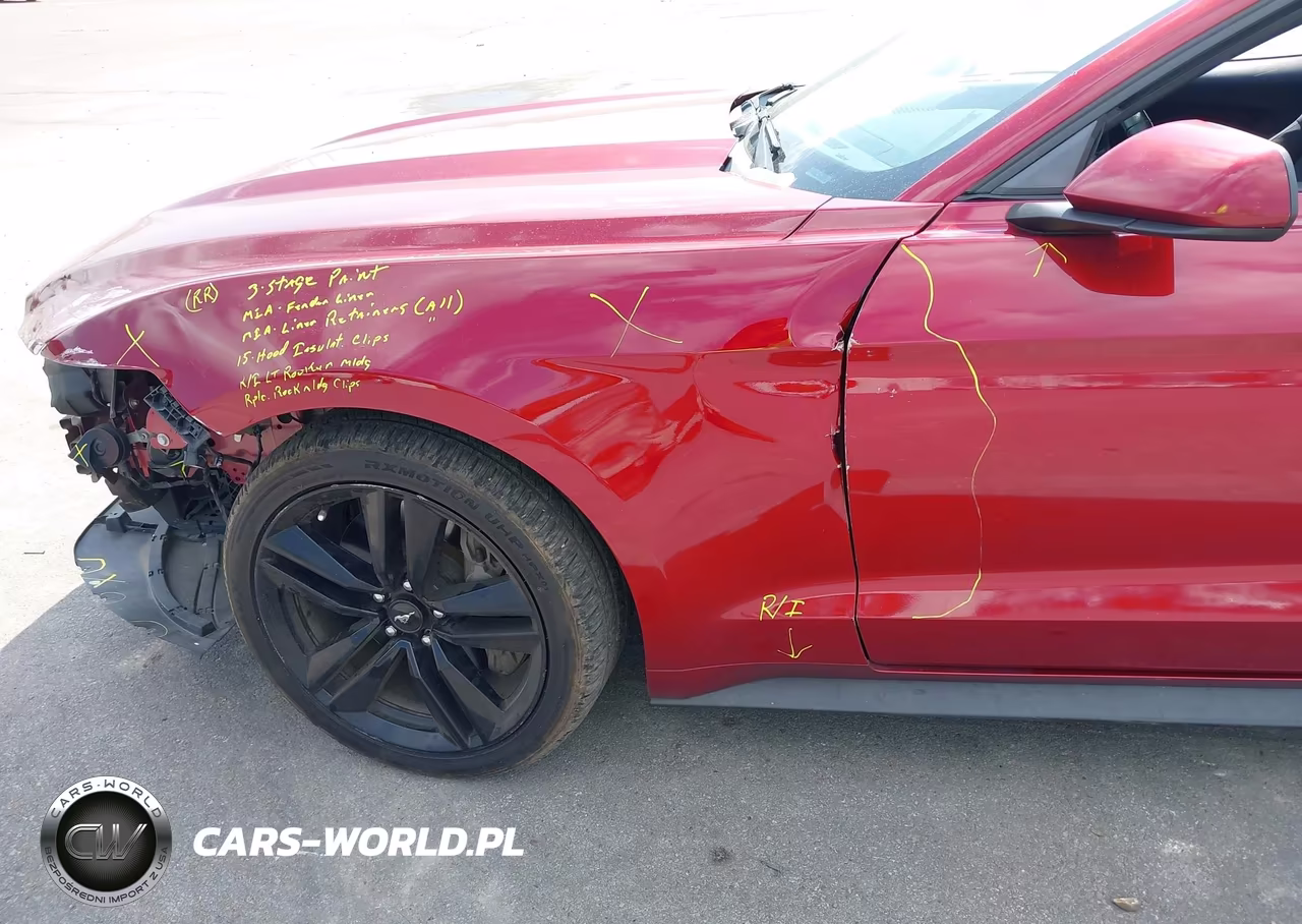 2017 Ford Mustang Ecoboost VIN:1FA6P8TH3H5332556 - 18