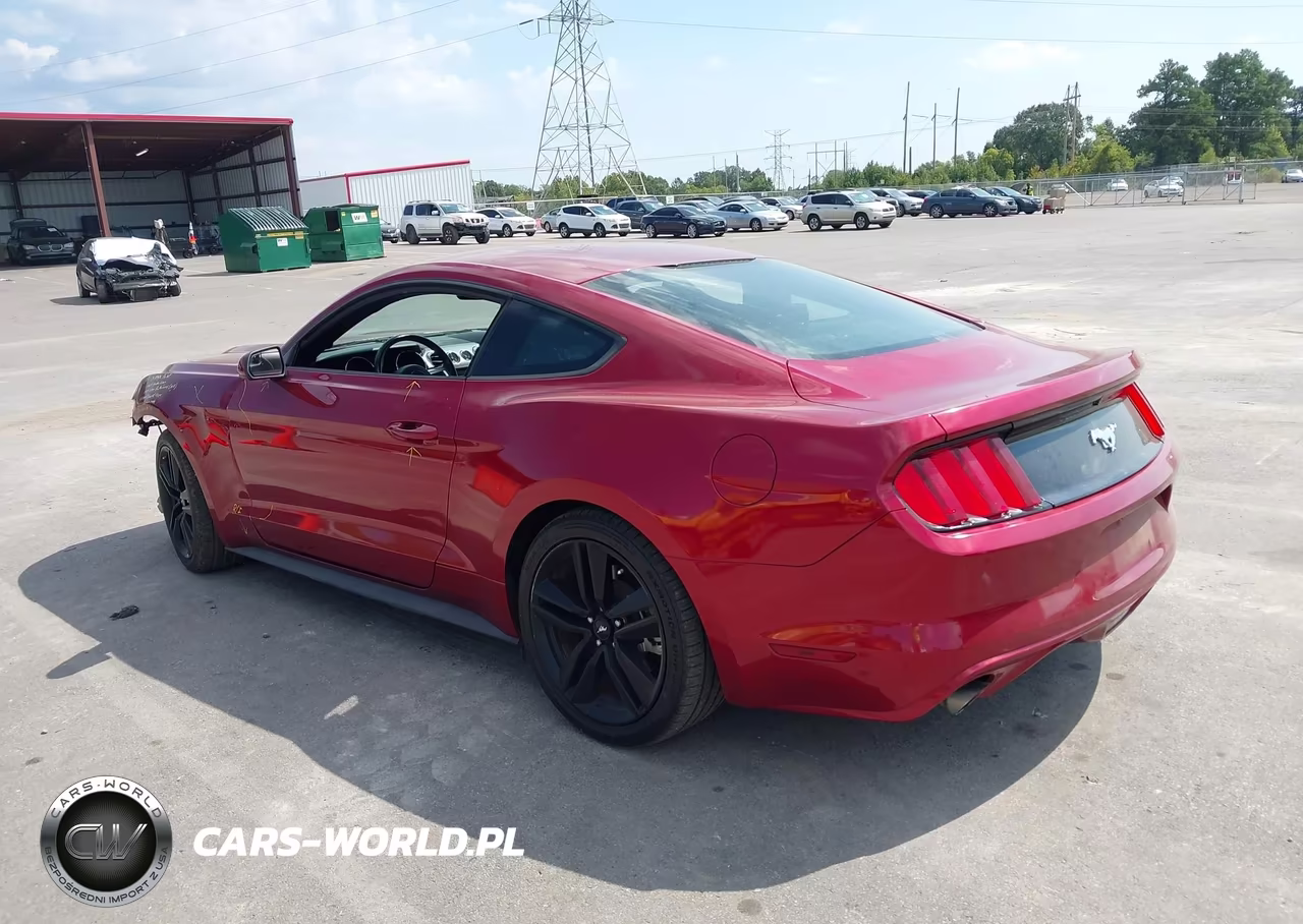 2017 Ford Mustang Ecoboost VIN:1FA6P8TH3H5332556 - 3