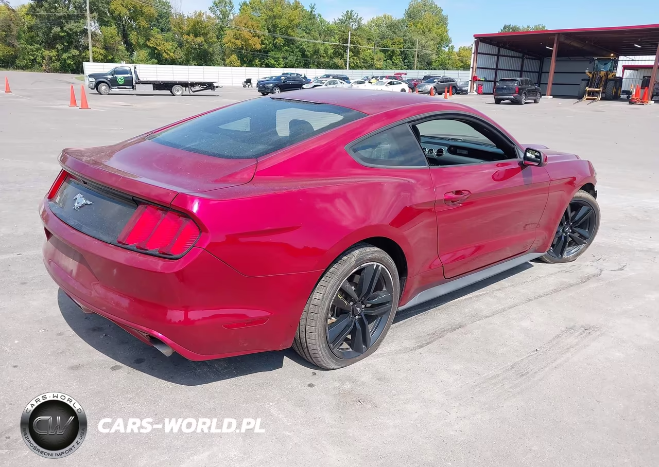 2017 Ford Mustang Ecoboost VIN:1FA6P8TH3H5332556 - 4