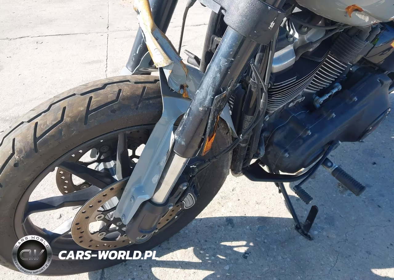 2025 Harley-Davidson Fxlrs VIN:1HD1YWA12SB041873 - 12