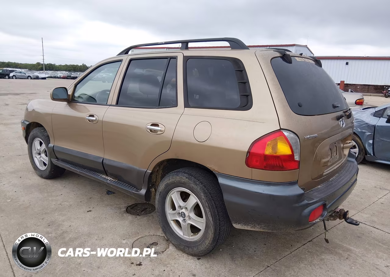 2004 Hyundai Santa Fe Gls-Lx VIN:KM8SC13EX4U687060 - 3