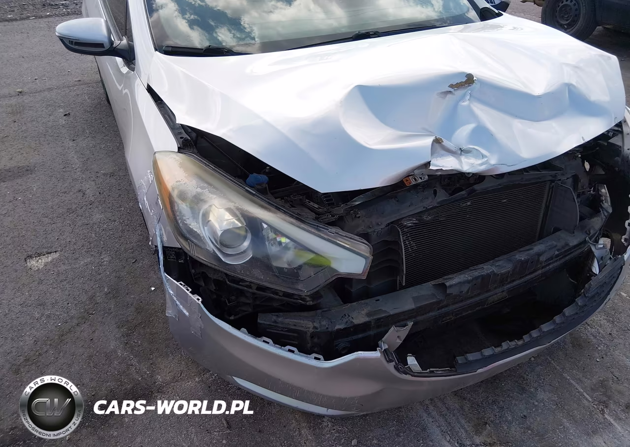2015 Kia Forte Lx VIN:KNAFX4A67F5315032 - 14