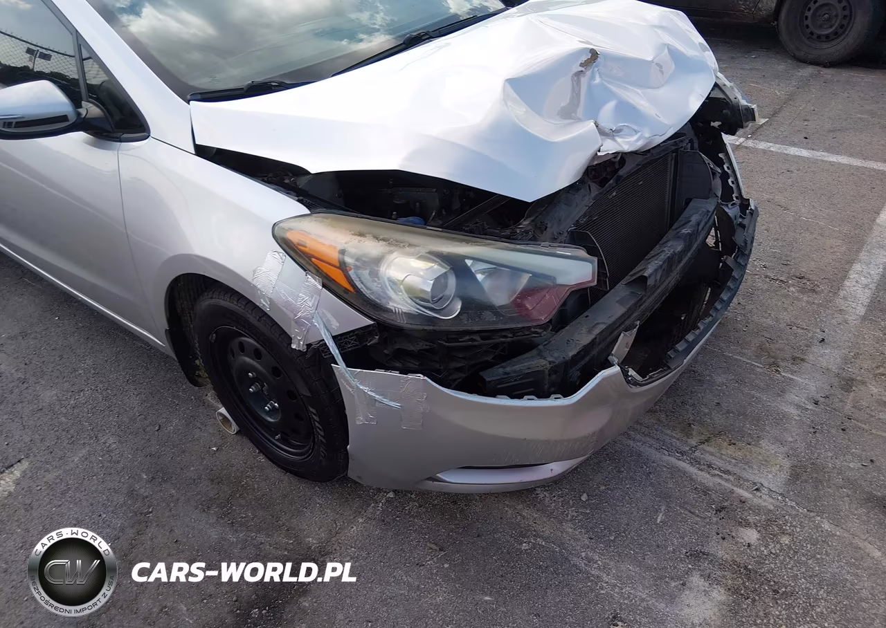 2015 Kia Forte Lx VIN:KNAFX4A67F5315032 - 15