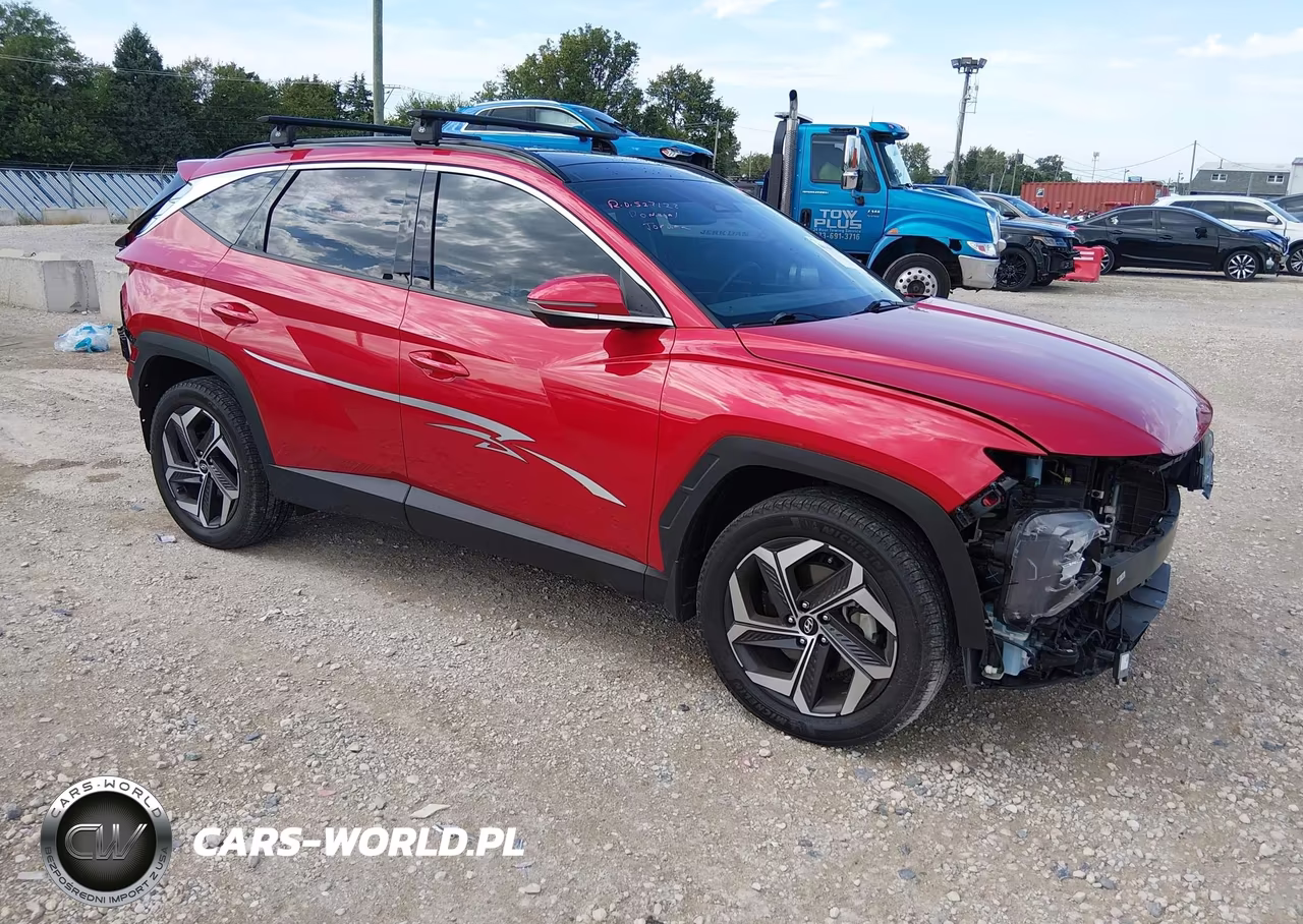 2023 Hyundai Tucson Limited VIN:5NMJECAE0PH207726 - 1