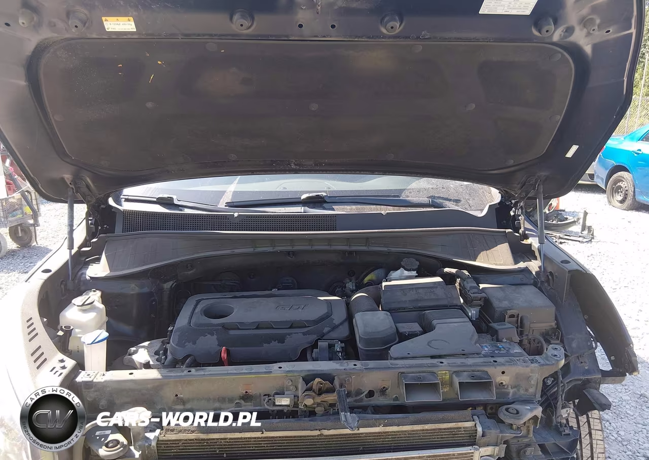 2019 Kia Sorento 2.4L L VIN:5XYPG4A31KG593679 - 10