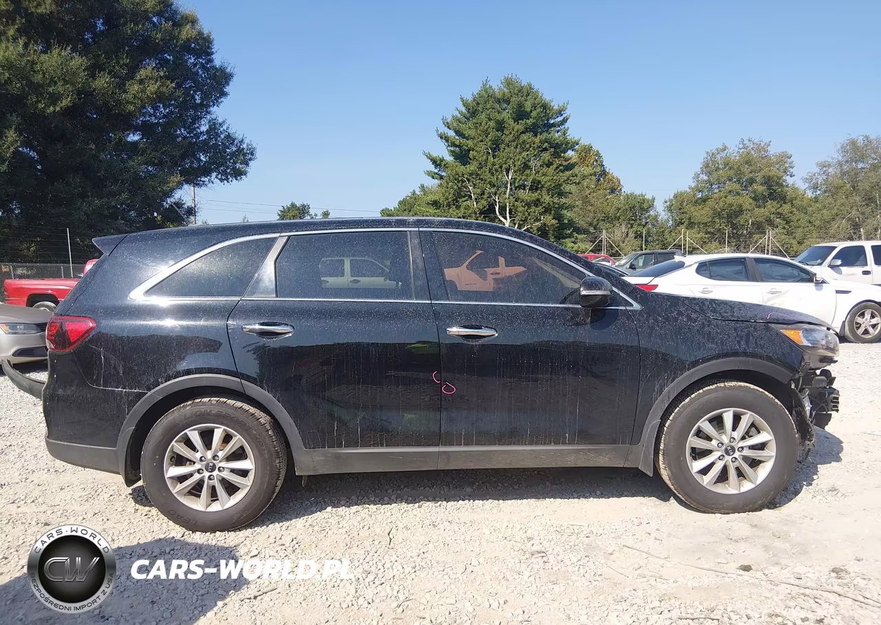 2019 Kia Sorento 2.4L L VIN:5XYPG4A31KG593679 - 13