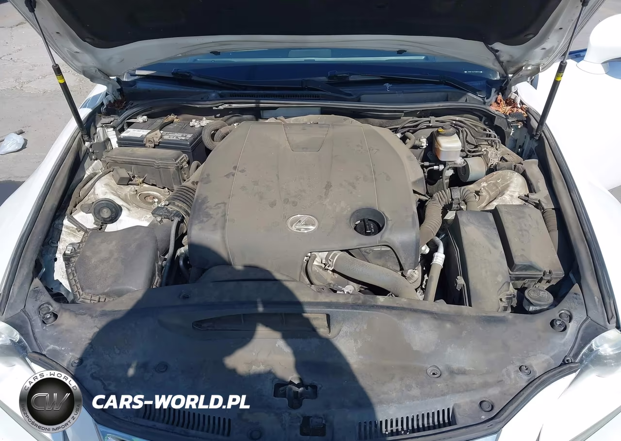 2015 Lexus Is 250 VIN:JTHBF1D27F5069187 - 10