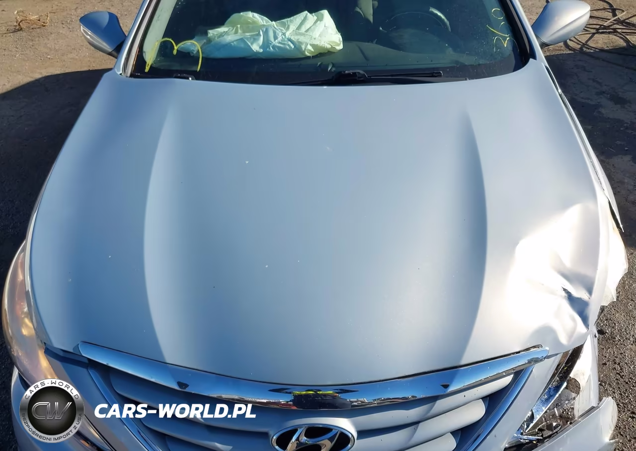 2013 Hyundai Sonata Gls VIN:5NPEB4AC6DH637659 - 10