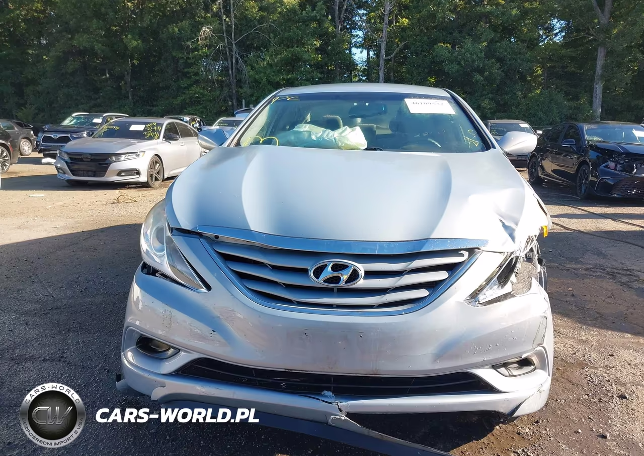 2013 Hyundai Sonata Gls VIN:5NPEB4AC6DH637659 - 12