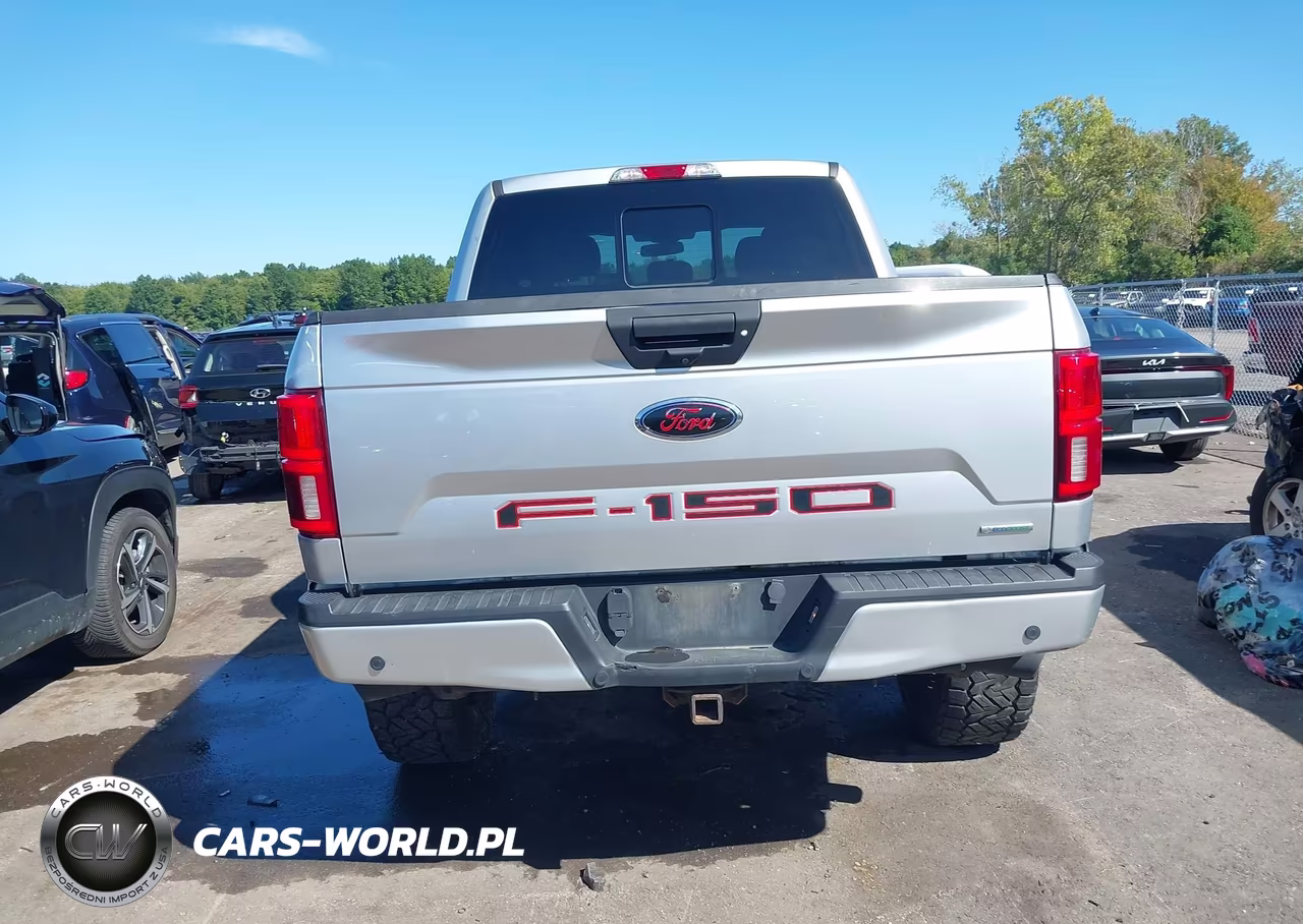 2019 Ford F-150 Xlt VIN:1FTEW1E49KFD29821 - 16