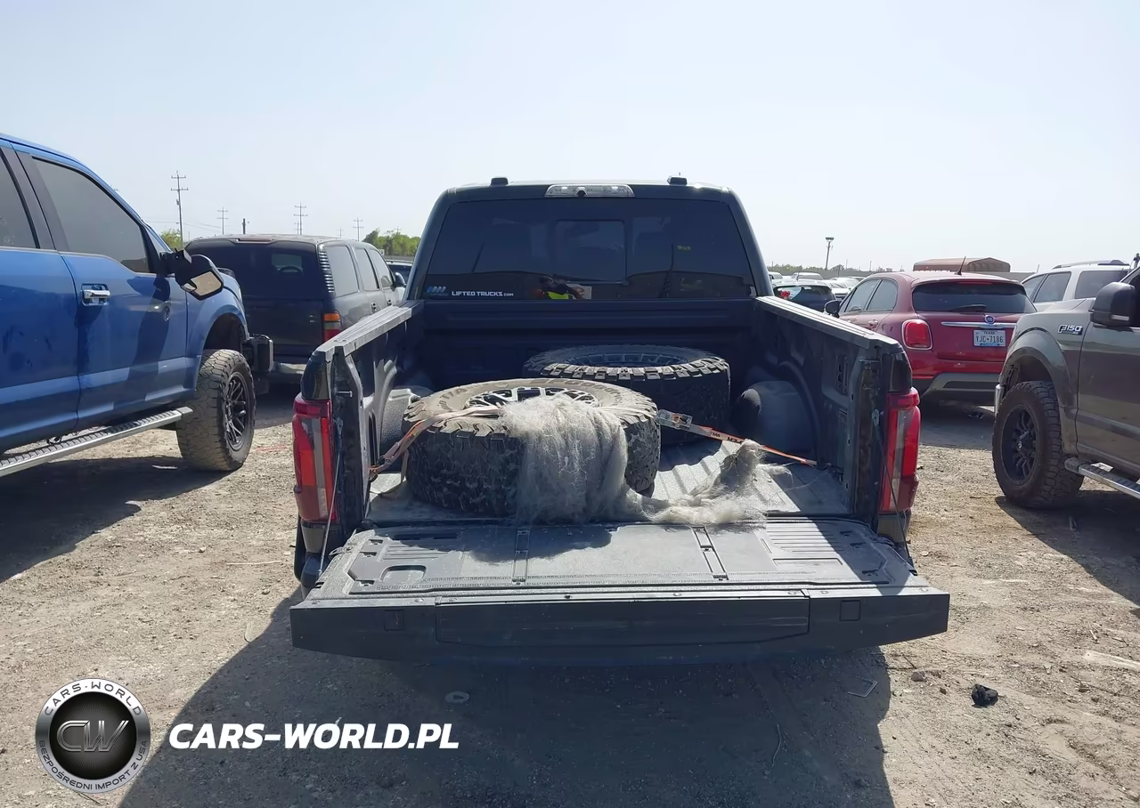 2025 Ford F-150 Raptor VIN:1FTFW1RJ4SFA02389 - 16