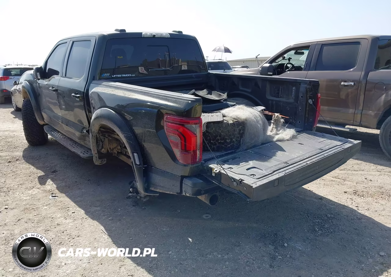 2025 Ford F-150 Raptor VIN:1FTFW1RJ4SFA02389 - 3