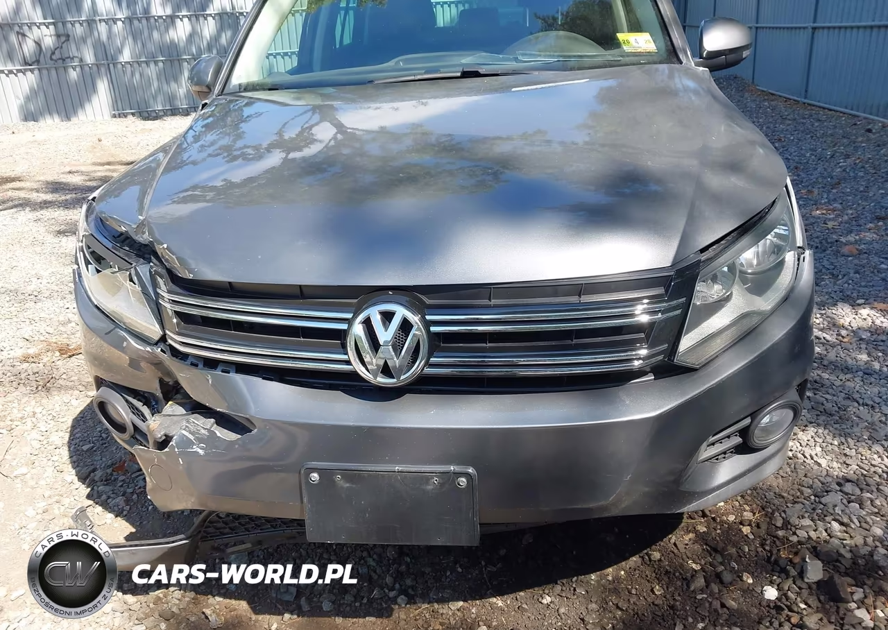 2014 Volkswagen Tiguan Se VIN:WVGBV3AX4EW526638 - 17