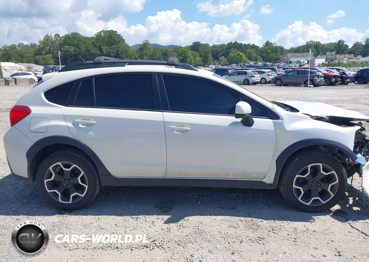 2014 Subaru Xv Crosstrek 2.0I Premium VIN:JF2GPACC5E8331852 - 13