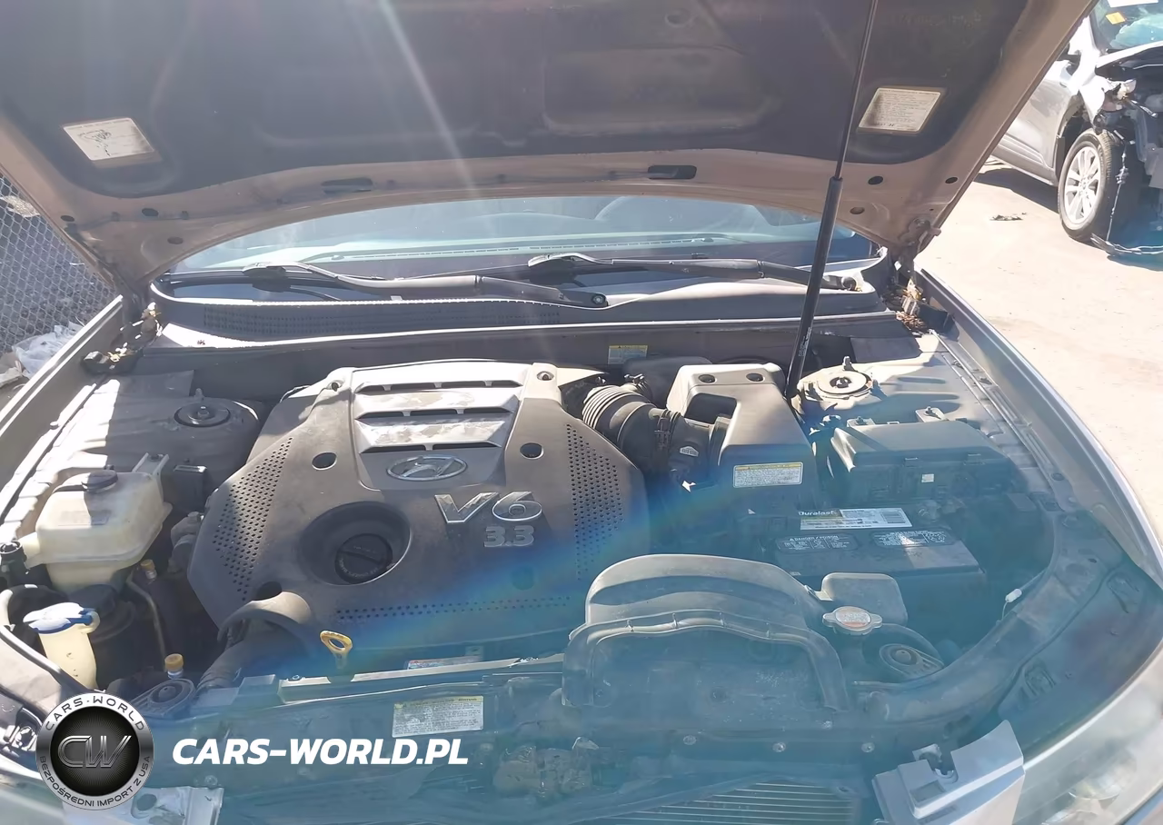 2006 Hyundai Sonata Gls V6-Lx V6 VIN:5NPEU46F06H073250 - 10