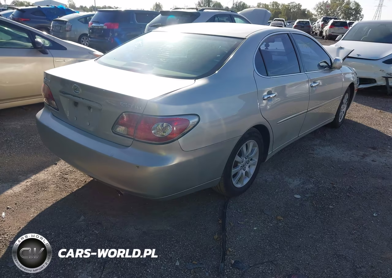 2004 Lexus Es 330 VIN:JTHBA30GX45013057 - 4