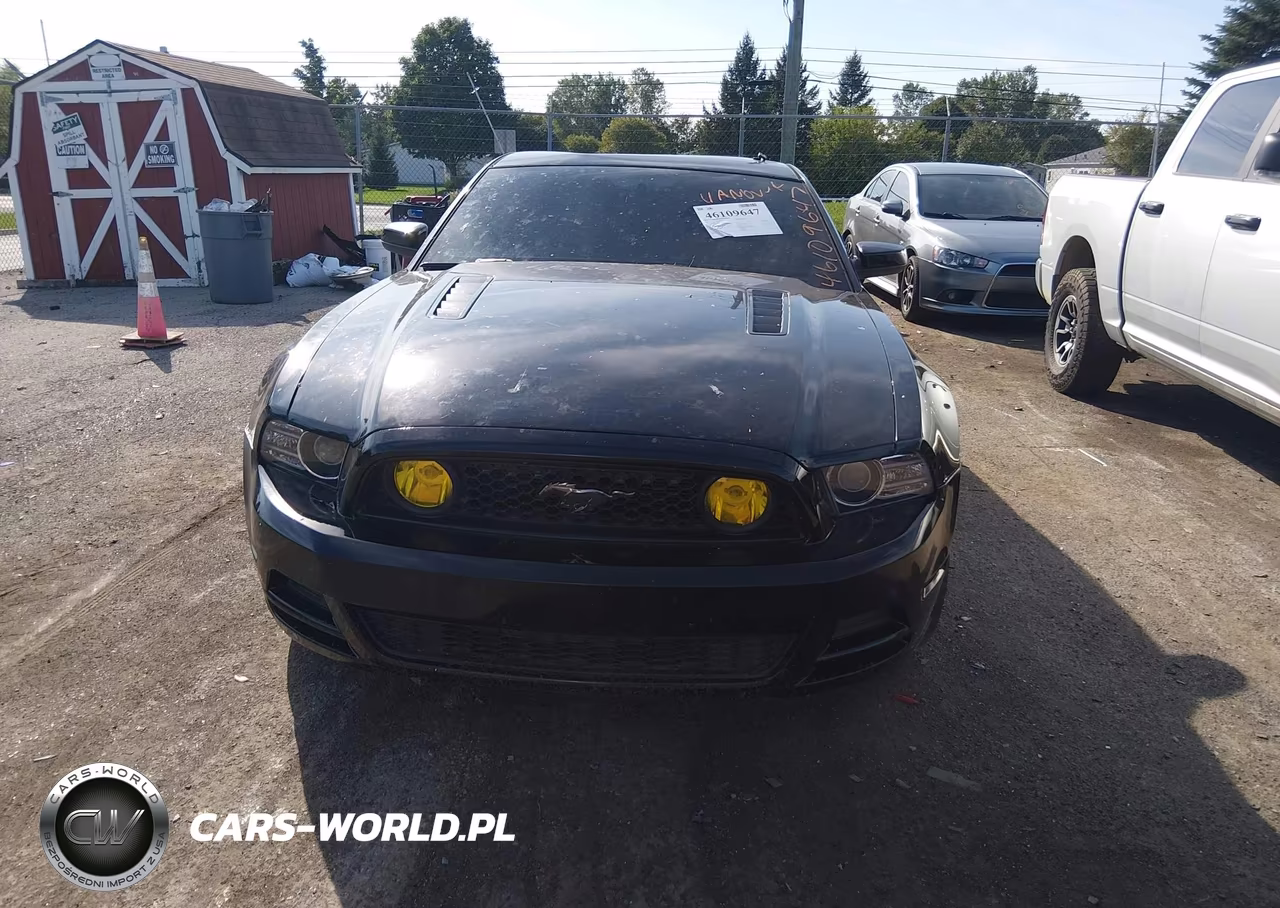2014 Ford Mustang Gt VIN:1ZVBP8CF5E5304354 - 12