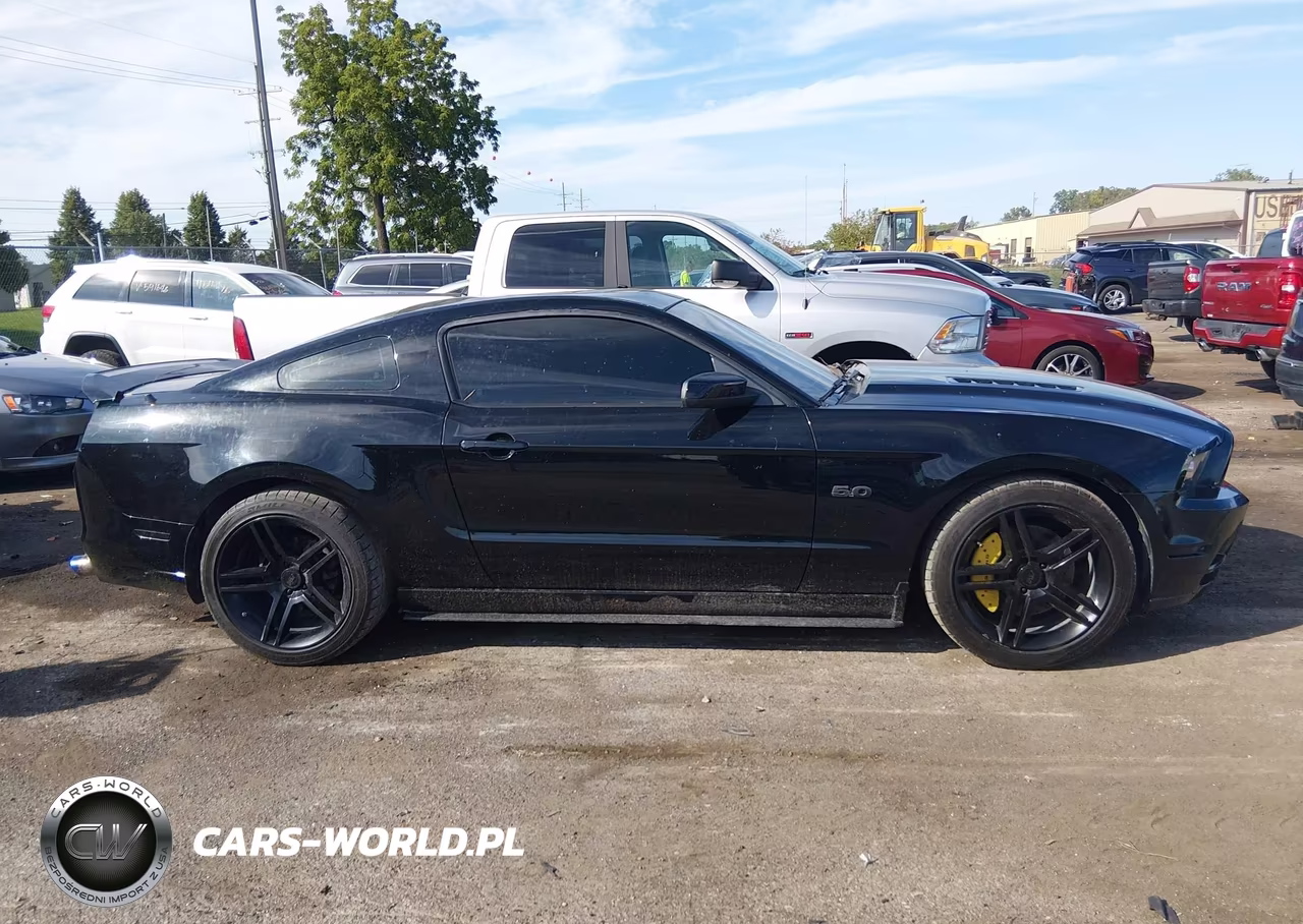 2014 Ford Mustang Gt VIN:1ZVBP8CF5E5304354 - 13