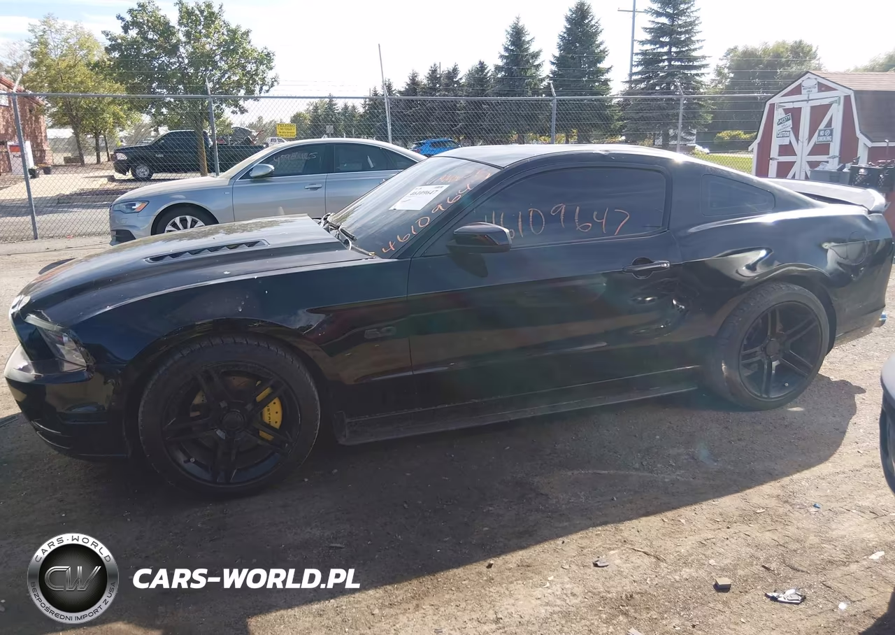 2014 Ford Mustang Gt VIN:1ZVBP8CF5E5304354 - 14
