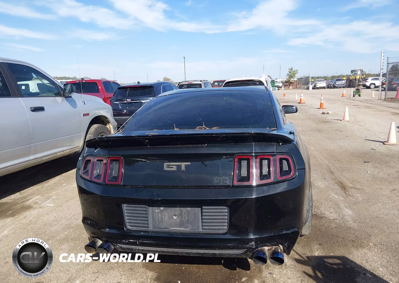 2014 Ford Mustang Gt VIN:1ZVBP8CF5E5304354 - 16