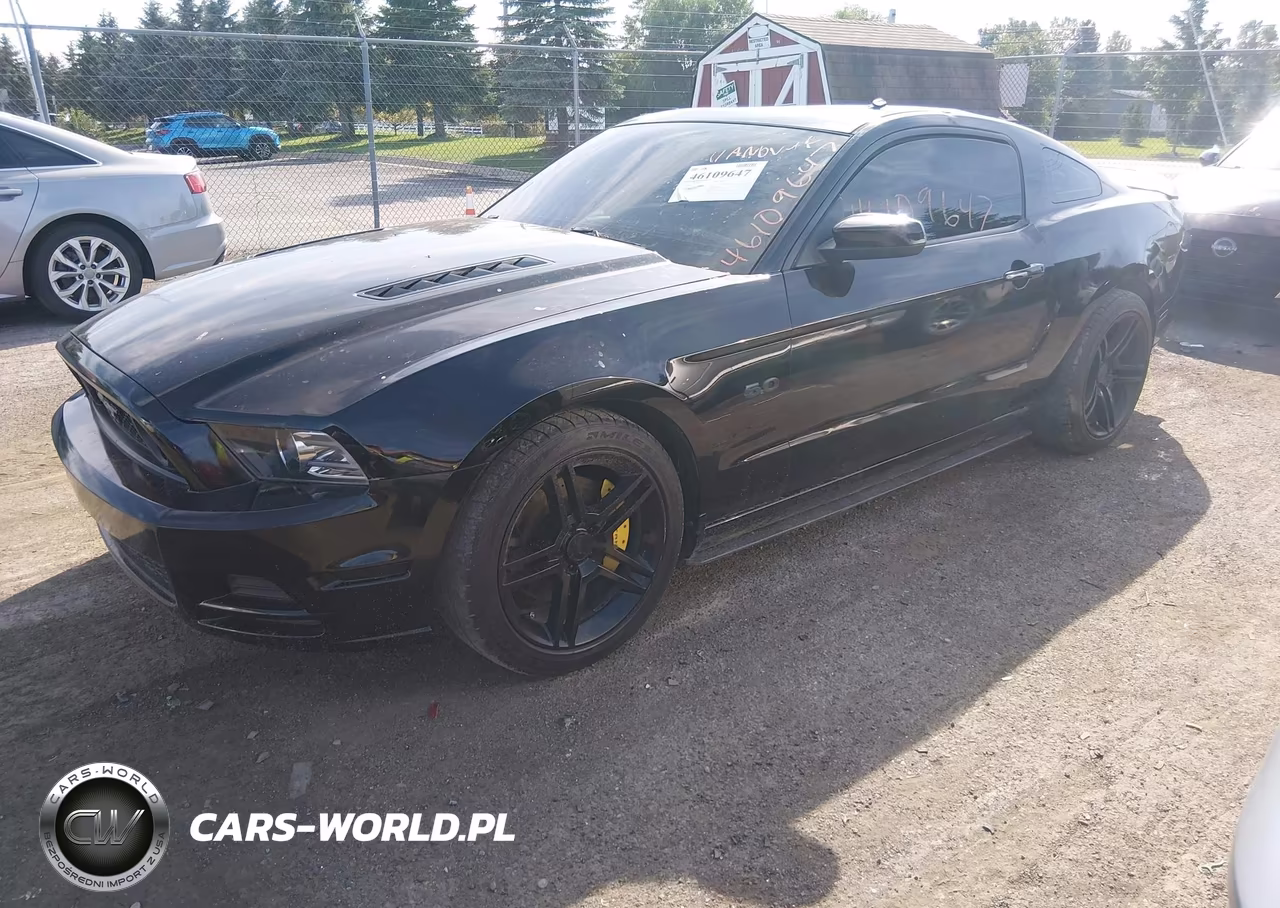2014 Ford Mustang Gt VIN:1ZVBP8CF5E5304354 - 2