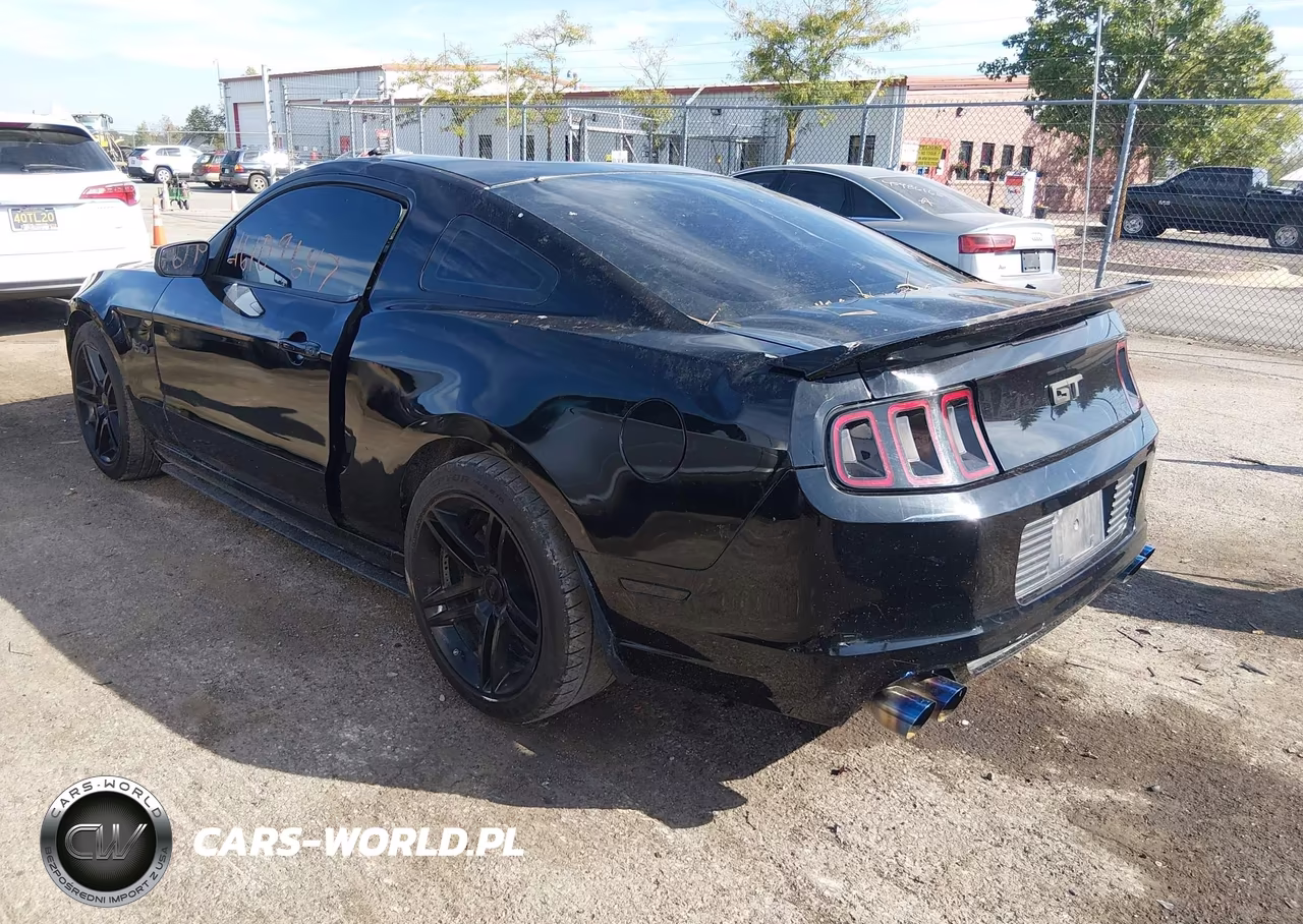 2014 Ford Mustang Gt VIN:1ZVBP8CF5E5304354 - 3