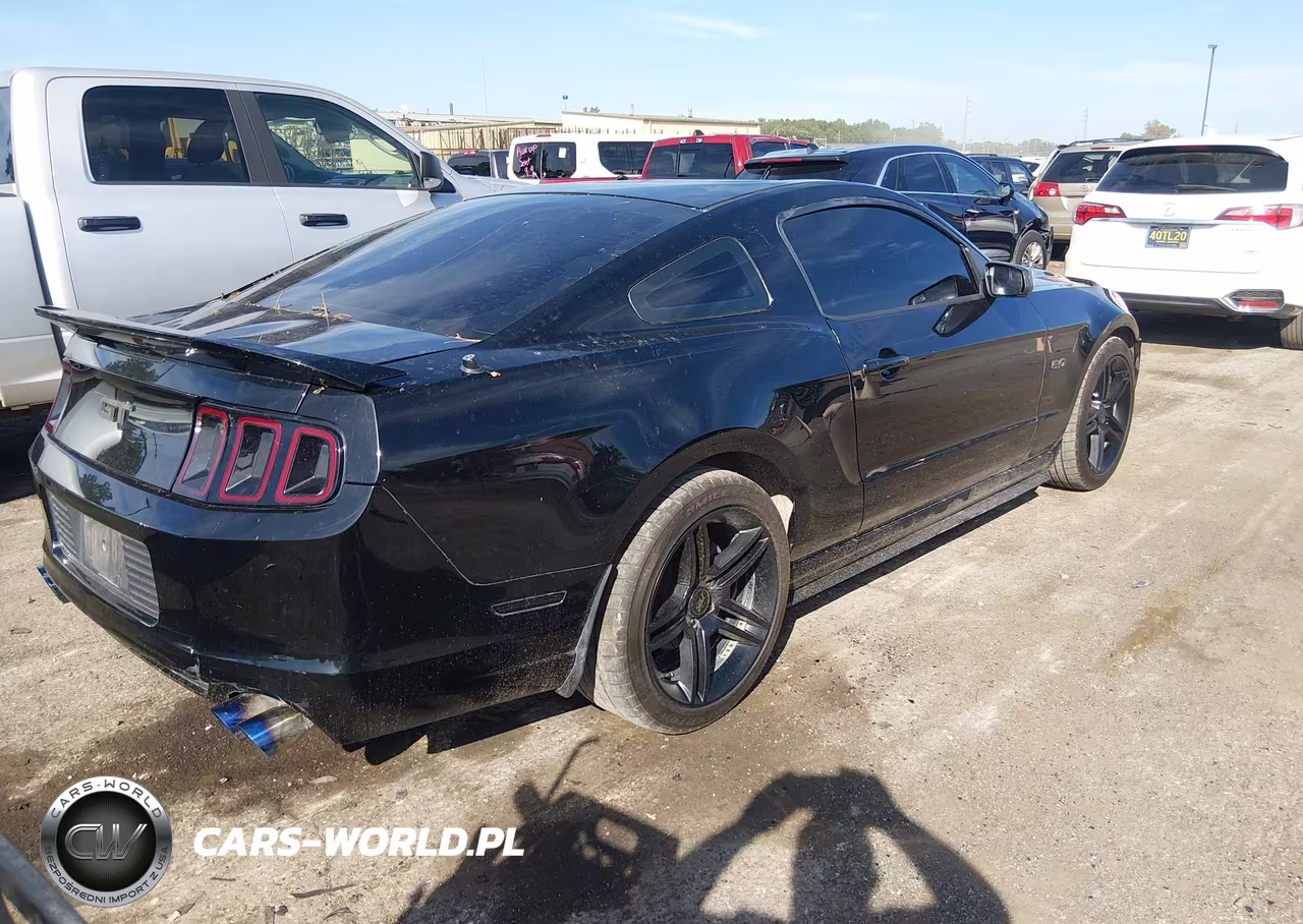 2014 Ford Mustang Gt VIN:1ZVBP8CF5E5304354 - 4