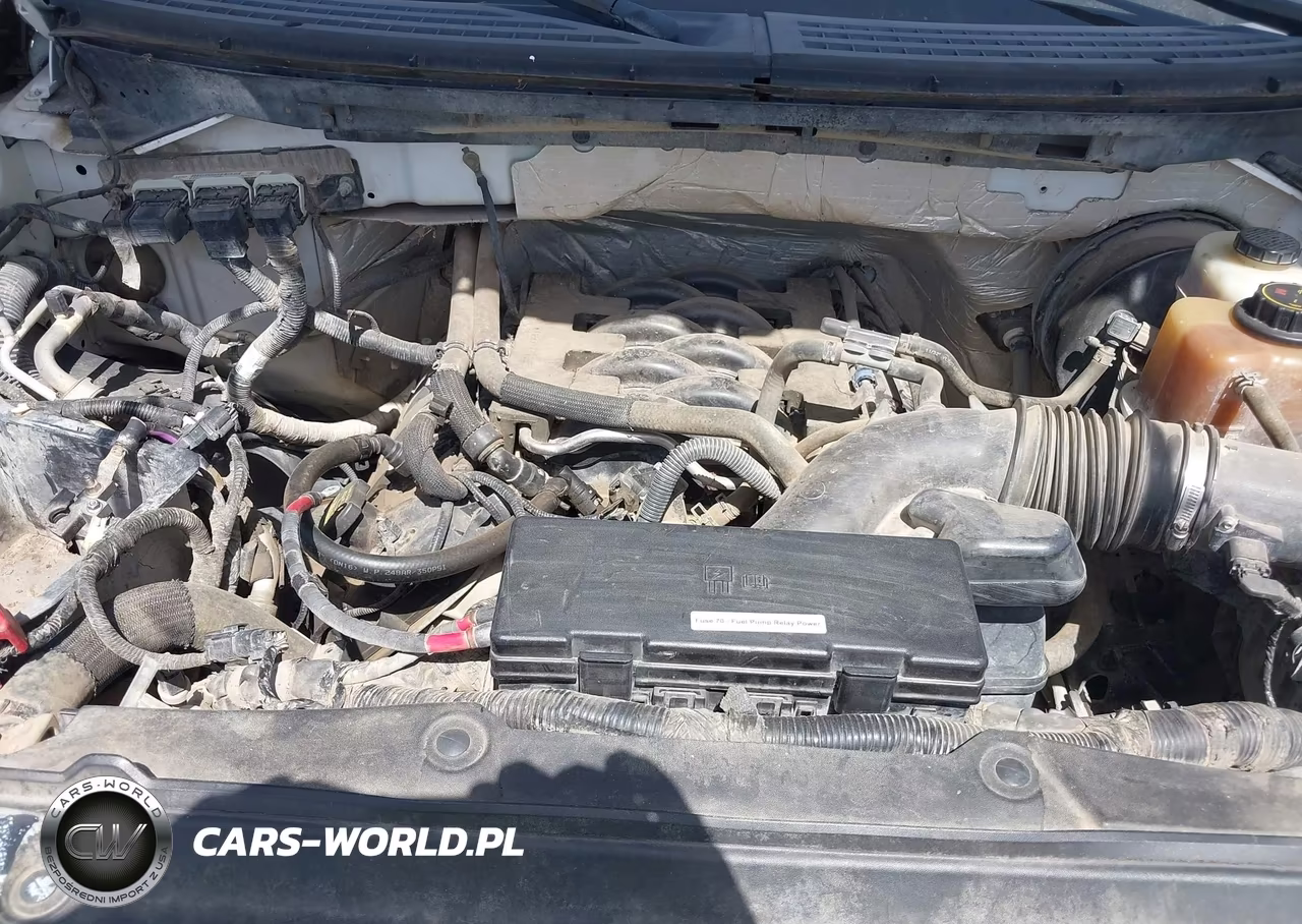 2011 Ford F-150 Xl VIN:1FTFX1CF7BFA19561 - 10