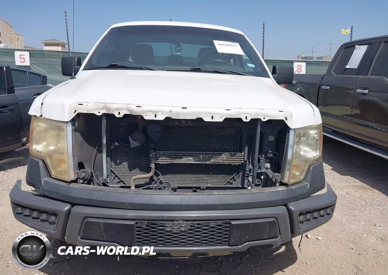 2011 Ford F-150 Xl VIN:1FTFX1CF7BFA19561 - 12