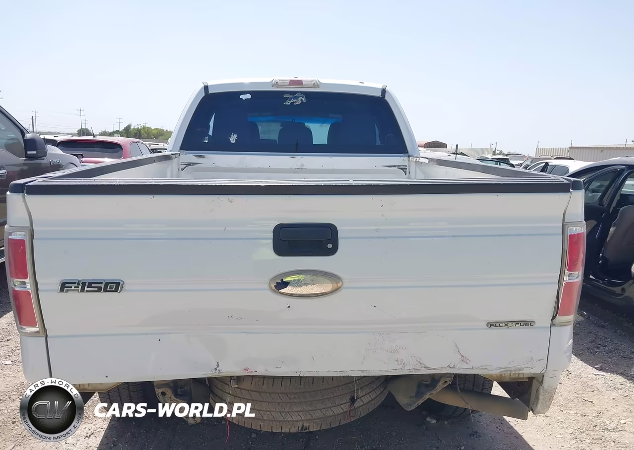 2011 Ford F-150 Xl VIN:1FTFX1CF7BFA19561 - 16
