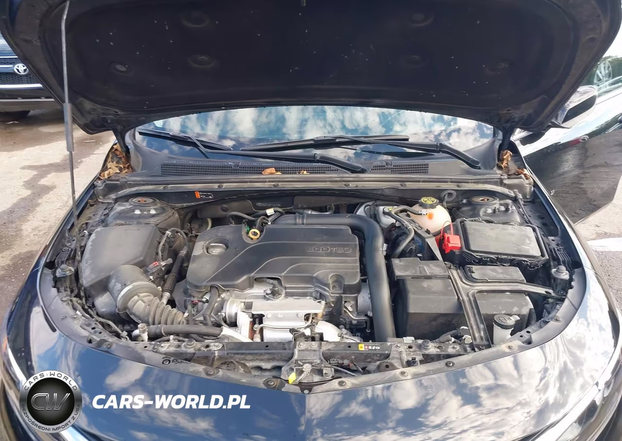 2019 Chevrolet Malibu Lt VIN:1G1ZD5ST5KF176728 - 10