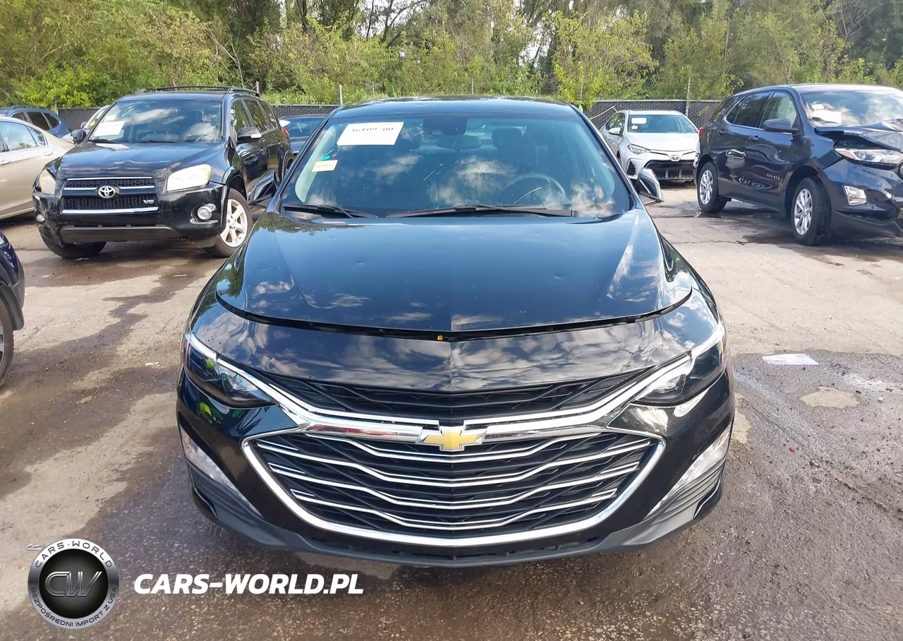 2019 Chevrolet Malibu Lt VIN:1G1ZD5ST5KF176728 - 12