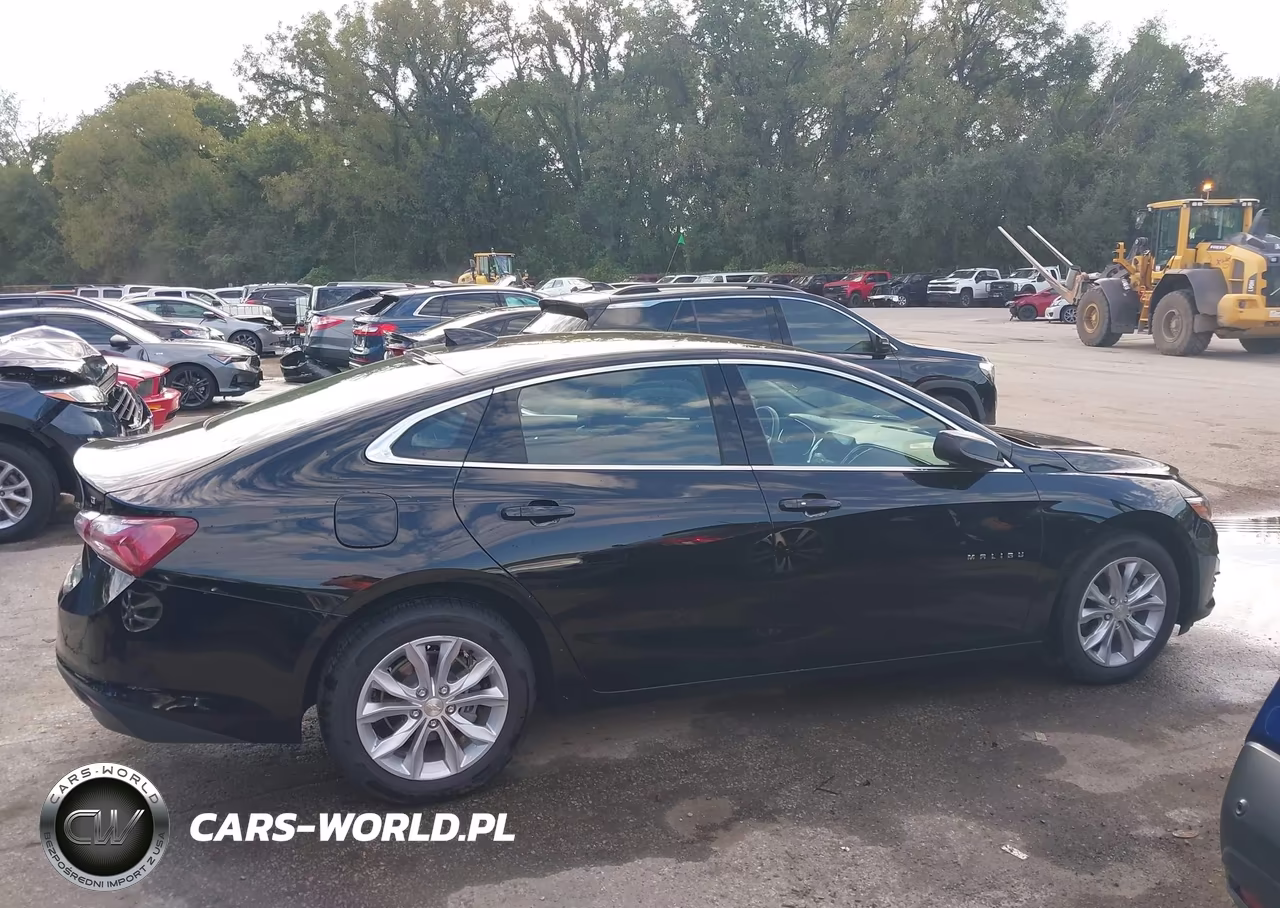2019 Chevrolet Malibu Lt VIN:1G1ZD5ST5KF176728 - 13