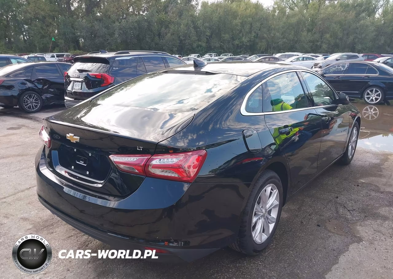 2019 Chevrolet Malibu Lt VIN:1G1ZD5ST5KF176728 - 4