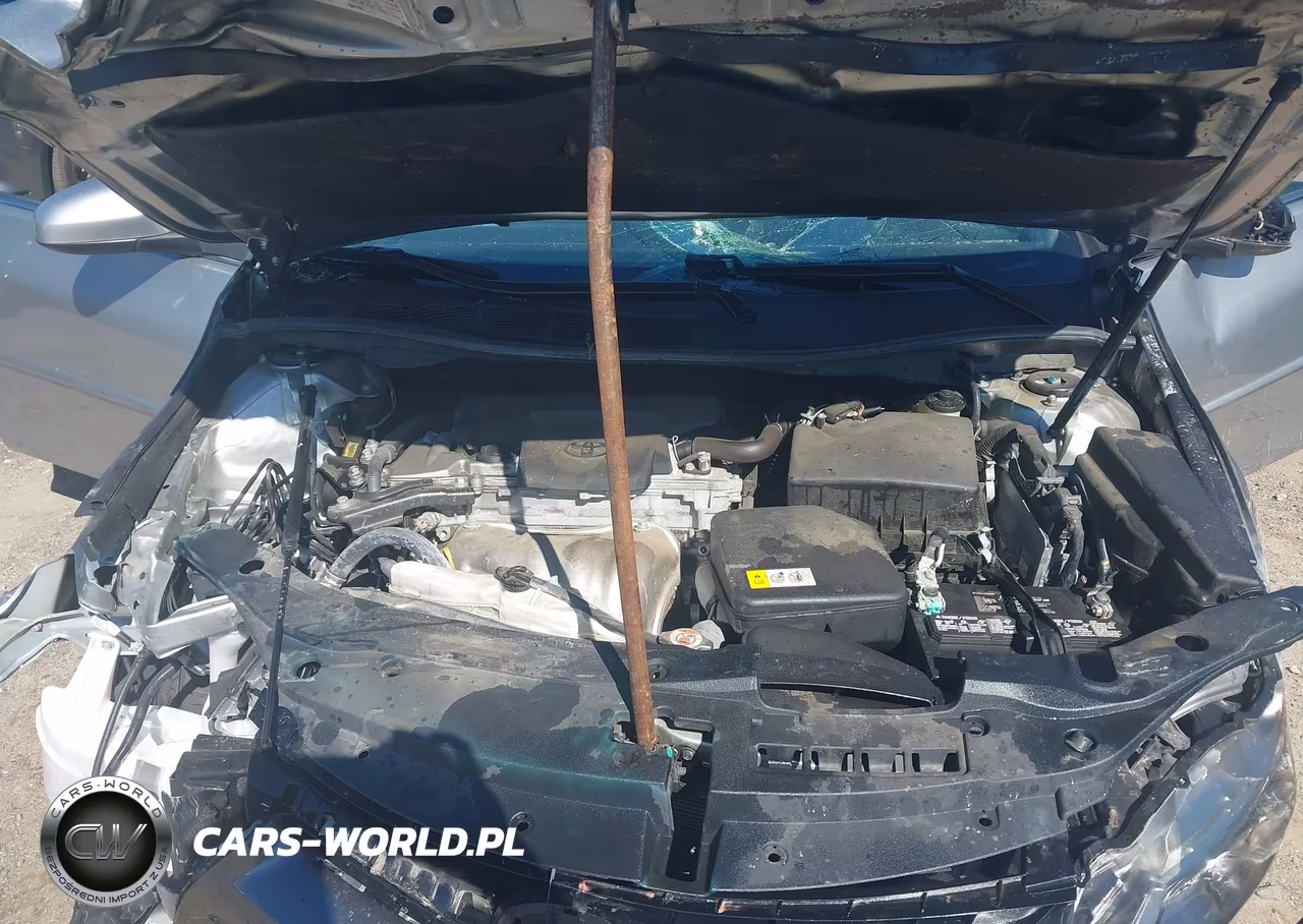 2017 Toyota Camry Xle VIN:4T1BF1FK2HU621732 - 10