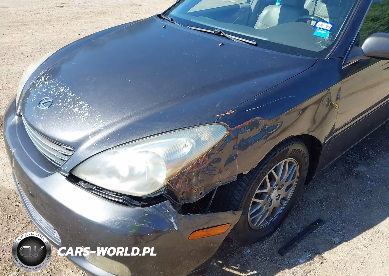 2004 Lexus Es 330 VIN:JTHBA30G945035308 - 12